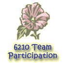 6210 Team Participation